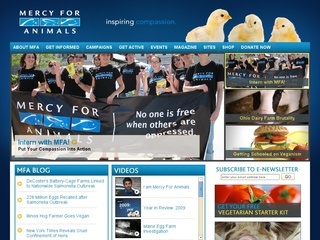 www.mercyforanimals.org